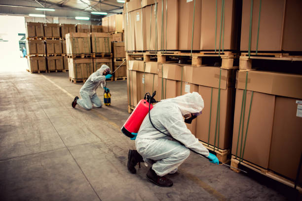 Best Best Pest Control Companies  in Hoquiam, WA