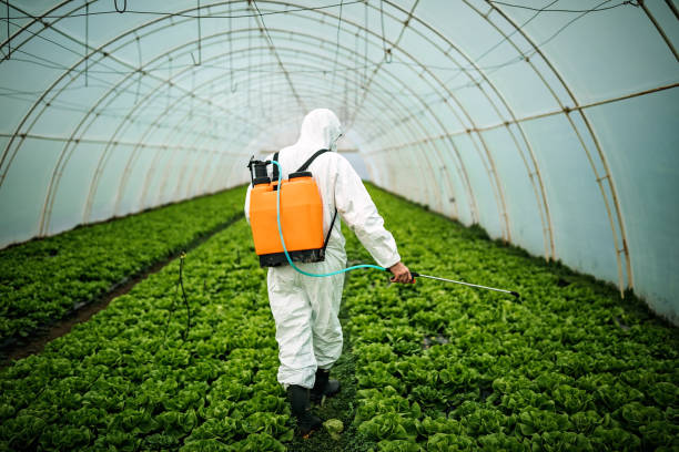 Best Exterminator Services  in Hoquiam, WA