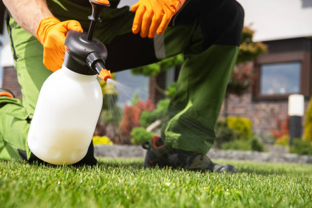 Best Best Pest Control Companies  in Hoquiam, WA