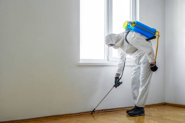 Best Local Pest Control Services  in Hoquiam, WA