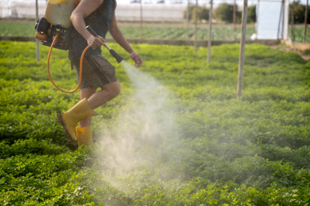 Trusted Hoquiam, WA Pest Control Experts