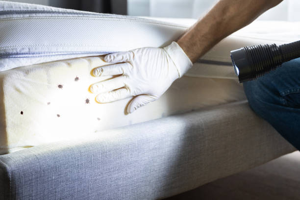 Best Exterminator Services  in Hoquiam, WA