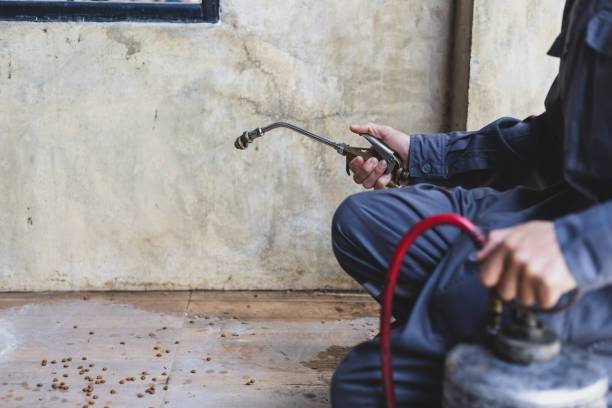 Best Best Pest Control Companies  in Hoquiam, WA