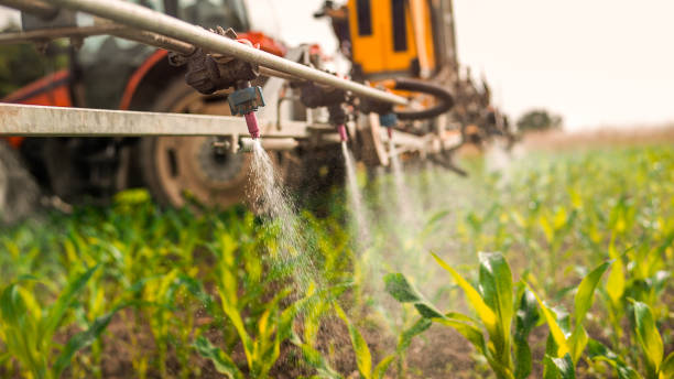 Best Pest Removal Services  in Hoquiam, WA