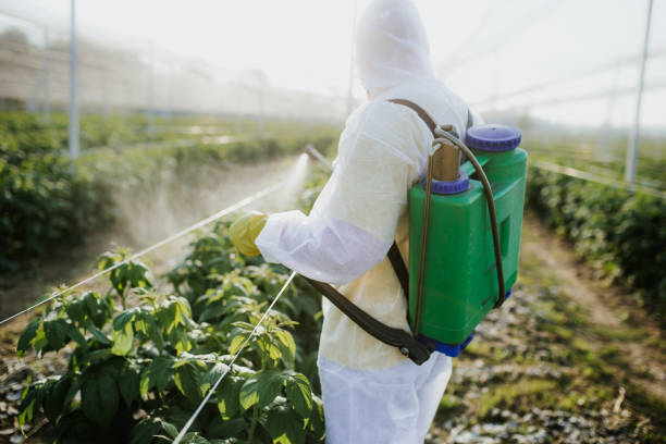 Best Bed Bug Extermination  in Hoquiam, WA